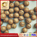 Hot Sales Roasted Flavored Macadamia Nut
